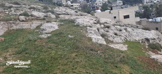  11 فرز جديد أجمل ارض في عجلون مرتفعه على جبل ومطله على جبال عجلون لغايات السكن / فلل / اسكانات