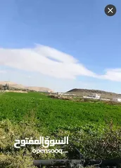  1 ارض للبيع البتراوي. اسعيدا ( 4دنم و 645متر )