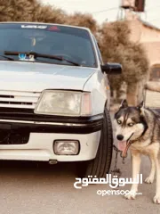  10 بيجو 205 موديل 1999  للبيع