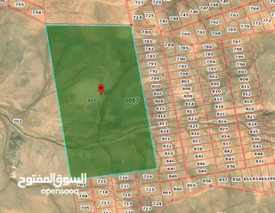  1 قطعة للبيع للمشاريع الاستثمارية 600 دونم في السواقة الشرقي