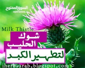  2 حليب الشوك العضوي مدعم بتركيبه عشبية، لوقاية وعلاج مشاكل والتهابات الكبد وتنقيته