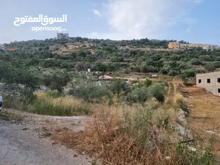 1 رامي ابو عماد