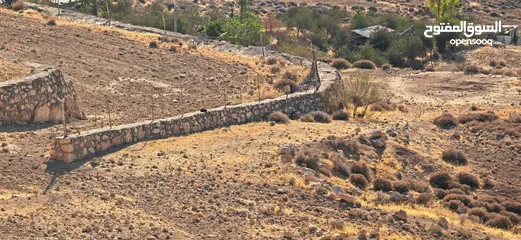  8 ارض زاعي سكني فلل