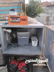  1 فقاسة بيض نيوستار