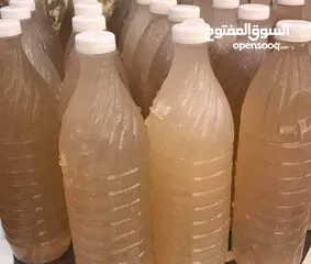  1 لاقبي طازج الله يبارك