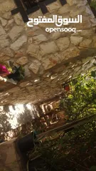  10 بيت للبيع  بسعر مغري