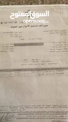  6 شاليه فاخر بسعر مغري