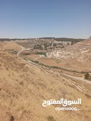  25 5300م حوض الروضه حوض المصدار بسعر لقطه طاله على سيل حسبان