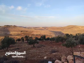  18 مزرعة لقطة مميزة مشجرة جرش دحل مساحة 3دونمات ونصف