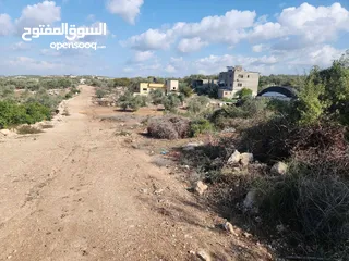  7 حصة بمنطقة الحرايق