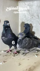  2 حمام نظيف شغال سعر مناسب لكل جوز_____