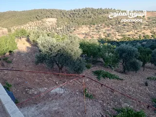  3 أرض للبيع في عنجره منطقة شمسين