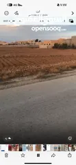  1 ارض للبيع (المفرق ام السراب حوض المرقاب) مكونه من 4قطع رقم 1216+1217+1218+1219 التفاصيل داخل الاعلان