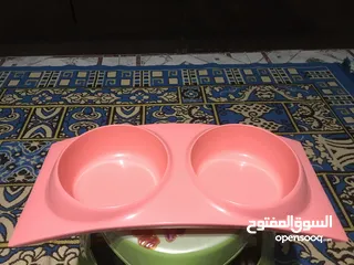  4 مستلزمات قطط