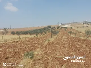  13 ارض للبيع مساحه 3400م قوشان مستقل مفروووز