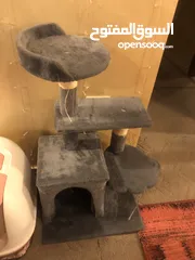 1 منزل للقطة