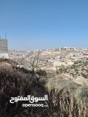  2 أرض 500 متر للبيع في لوزا
