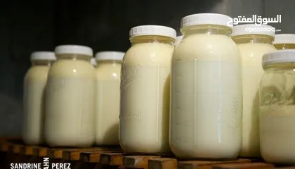  6 **هل تبحث عن استثمار مربح وذو عوائد مجزية في قطاع المطاعم المزدهر **هل تبحث عن استثمار مربح وذو عوائ