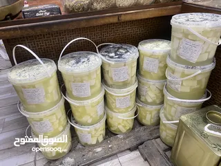  5 اجبان الخير  جبنه بيضاء بلديه حليب غنم صافي 100‎%‎ مكفوله