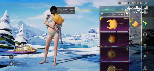  20 أحساب ببجي البيع