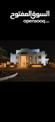  16 قصر فاخر و فخم وجديد للبيع في عبدون