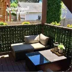  4 شبك ورق الشجر الاخضر الأصلي أجعل من بيتك حديقه خضراااء مع رول شبك الجدران و الحدائق و الأسوار