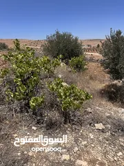  8 للبيع قطعة ارض منطقة نادرة / شرق جرش موقع مميز جدا وبسعر مغري