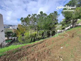  3 ارض تصلح لاسكان بمنسوب في منطقة رجم عميش، بمساحة ارض 1079م