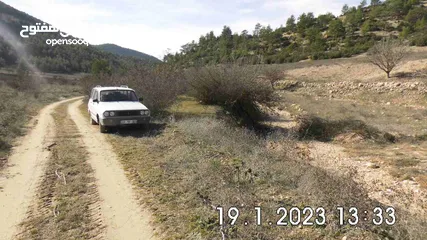  7 Land near DENIZLI, 15,850m², on the edge of a forest, for wine or fruit cultivation, from Owner