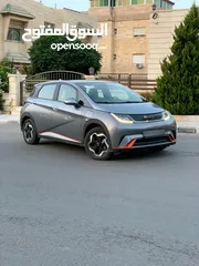 12 byd dolphin fashion 2022