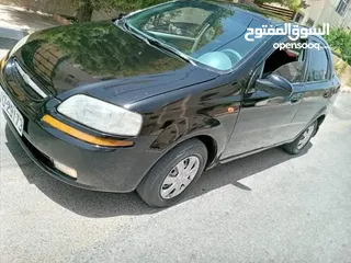  3 شفر أفيو فيها مجال للغانمين