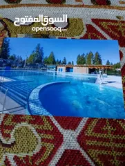  2 Swimming pool and accessories enginer