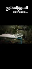  3 محمود ابو عدي