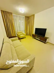  3 Fully Furnished 1 Bedroom Apartment