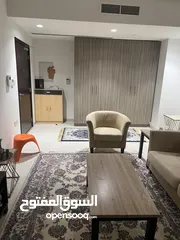  2 Fully furnished 1BHK Apartment