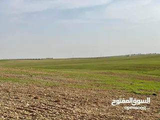  8 قطعة ارض للبيع جلول دونم 1000 متر مربع قرب التنظيم مباشرة شوارع مميزة