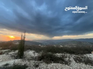  4 ارض اجنسنيا طابو