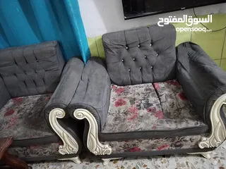  2 تخم قنفات 8مقاعد