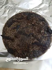  7 بخور عدني فاخر