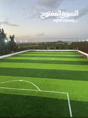  1 عشب ملاعب / عشب حدائق / عشب مدارس / عشب مزارع / عشب صناعي/ نجيل / تارتان Playground grass