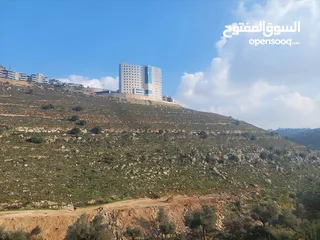  2 دونم ارض للبيع في الريحان