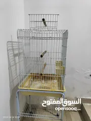  5 brand new condition big bird cage