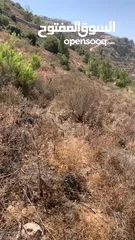  5 قطعة ارض تصنيف الف طابو في منطقة الخليل  حسكا مساحة دونم تصنيف الف طابو