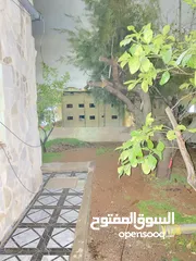  15 شقة للايجار في ڤيلا