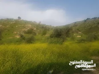  2 نبع البحاث