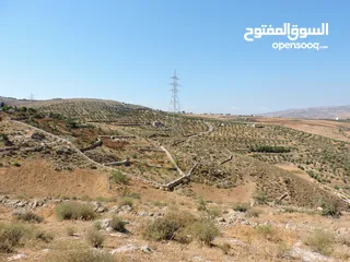  14 أجمل اطلالات جلعد-قوشان مستقل