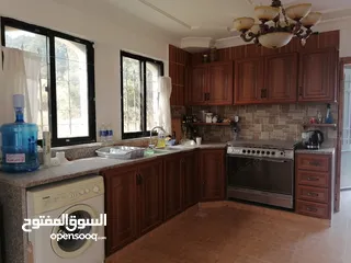 11 بيت ريفي للبيع في جرش - ثغرة عصفور
