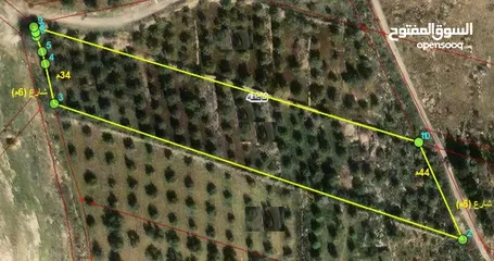  1 اراضي ناطفة ضمن حوض الغرابيات قطعه مفروزة تنظيم زراعي غرب قصر العوادين