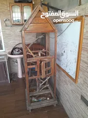  1 مطير عصافير