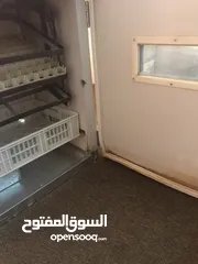  5 فقاسة فل اتوماتيك بحال الوكاله